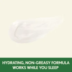 Aveeno Positively Radiant Night Cream -Clinique || Lancome || L'Oreal Sales Shop 2234483cm alt04