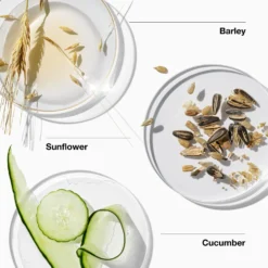 Clinique For Men Oil Free Moisturizer