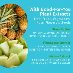 Sweet Pineapple & Honey Melon Herbal Body Moisturizer