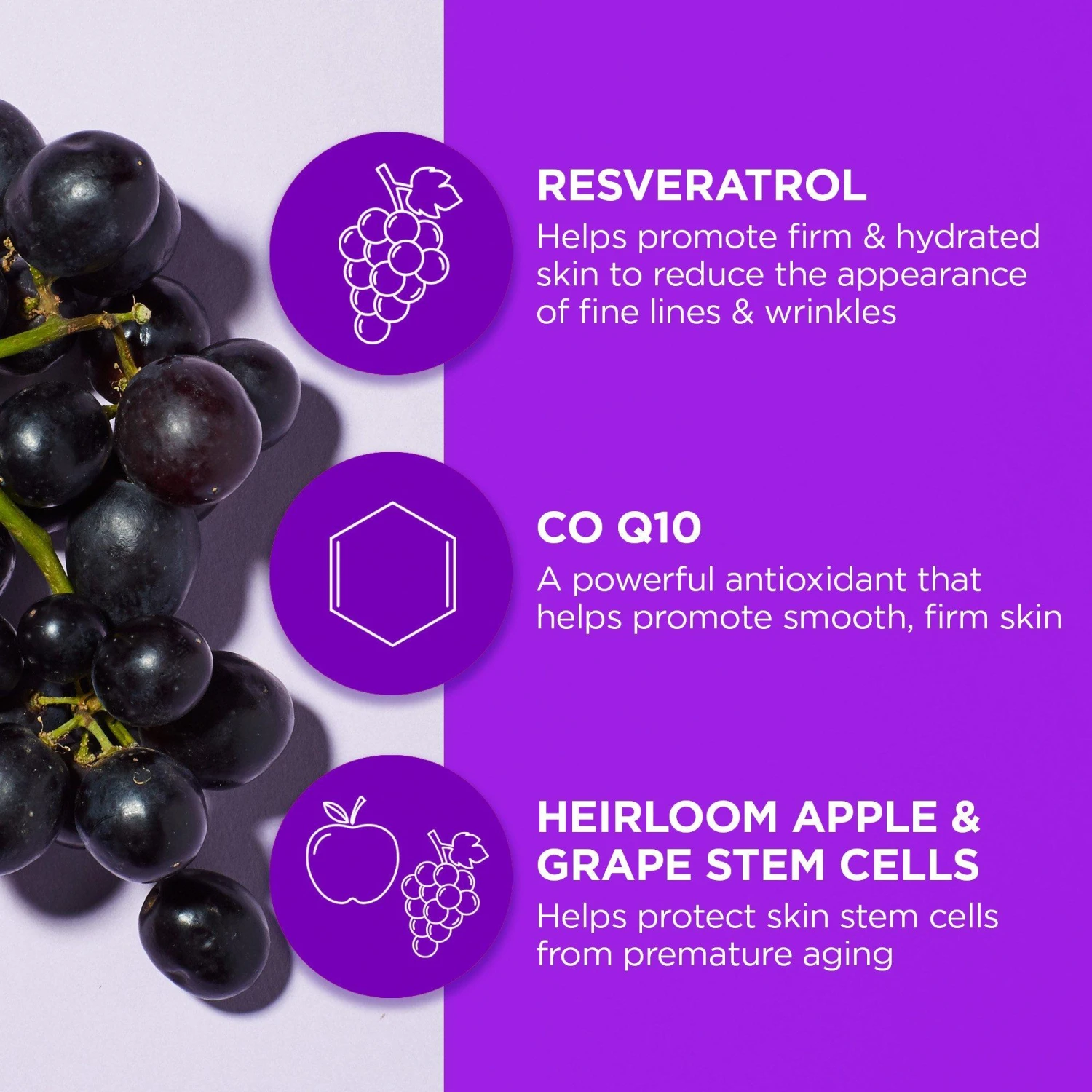 Age Defying Ultra Sheer Daily Defense Facial Lotion SPF 18 2 Age Defying Ultra Sheer Daily Defense Facial Lotion SPF 18 - Image 2