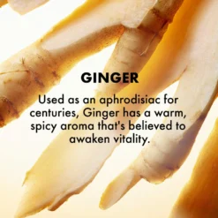 Origins Ginger Souffle Whipped Body Cream -Clinique || Lancome || L'Oreal Sales Shop 2307129cm alt03