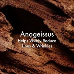 Origins Plantscription Youth-Renewing Power Night Cream -Clinique || Lancome || L'Oreal Sales Shop 2307155cm alt03