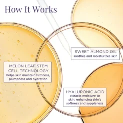 Firming & Tightening Body Hydration Treatment -Clinique || Lancome || L'Oreal Sales Shop 2541562 alt03