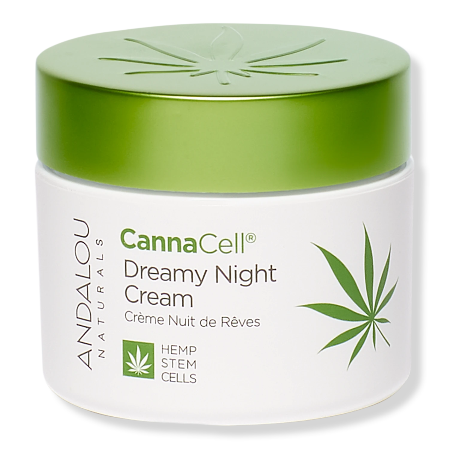 CannaCell Dreamy Night Cream With Hemp Stem Cells 4 CannaCell Dreamy Night Cream With Hemp Stem Cells - Image 4