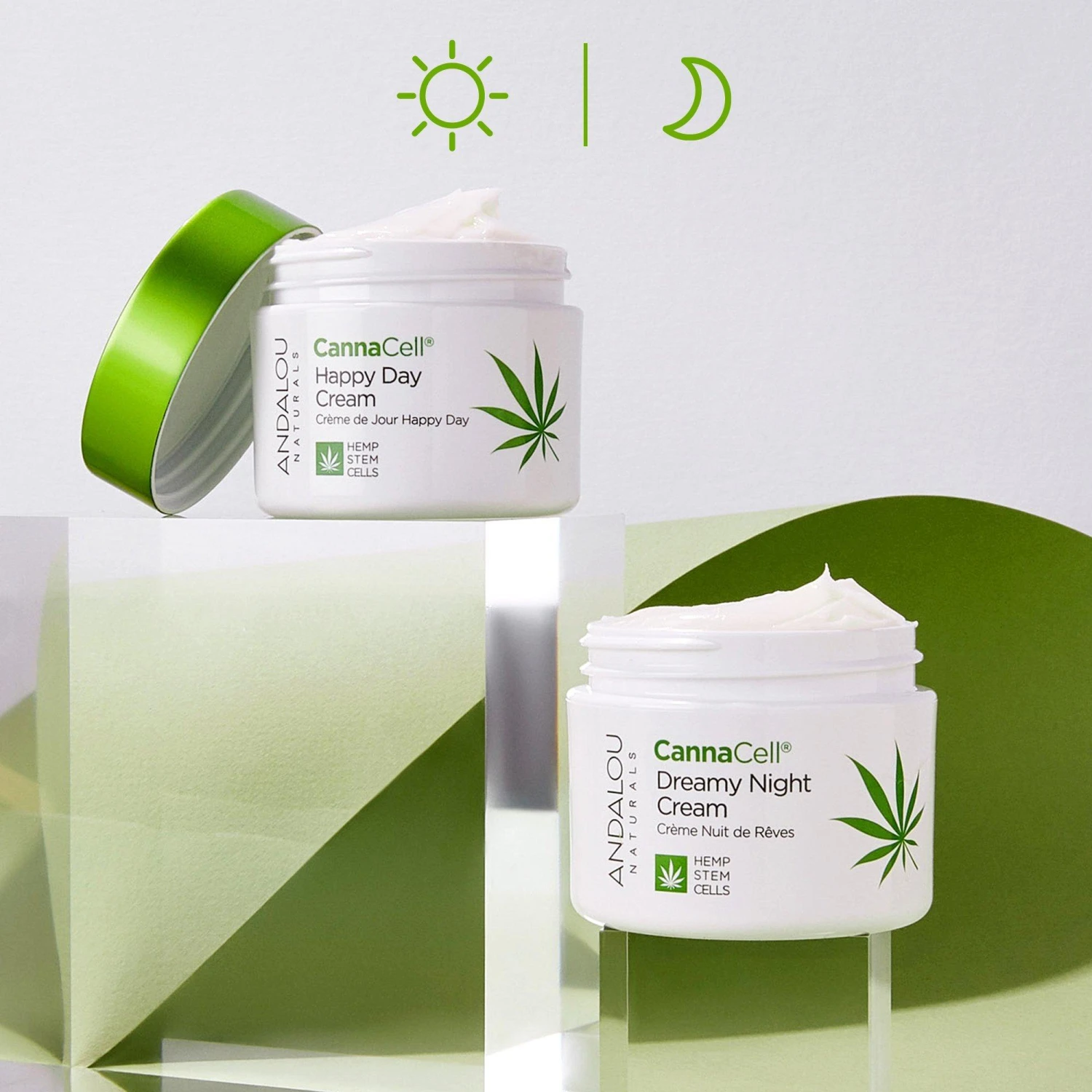 CannaCell Dreamy Night Cream With Hemp Stem Cells 5 CannaCell Dreamy Night Cream With Hemp Stem Cells - Image 5