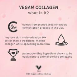 Vegan Collagen Overnight Recovery Cream 6 Vegan Collagen Overnight Recovery Cream -Clinique || Lancome || L'Oreal Sales Shop 2566492cm alt03