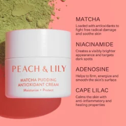 Travel Size Matcha Pudding Antioxidant Cream