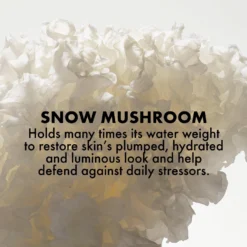 Dr. Andrew Weil For Origins Mega-Mushroom Soothing Hydra-Mist With Reishi And Snow Mushroom