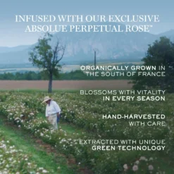 Lancome Absolue Revitalizing & Brightening Soft Cream 13 Lancome Absolue Revitalizing & Brightening Soft Cream -Clinique || Lancome || L'Oreal Sales Shop 2583153cm alt04