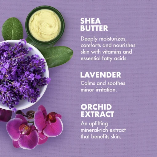 Lavender & Wild Orchid Calming Bath, Body & Massage Oil 3 Lavender & Wild Orchid Calming Bath, Body & Massage Oil -Clinique || Lancome || L'Oreal Sales Shop 2583938 alt02