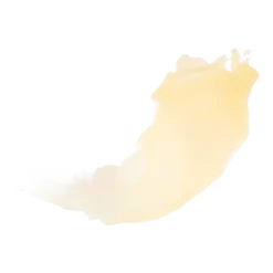 Glide "n" Go Body Oil Stick -Clinique || Lancome || L'Oreal Sales Shop 2585364cm alt01