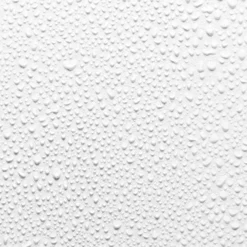 Fresh Rose Instant Hydration Mist