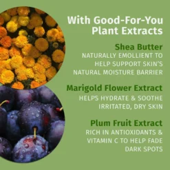 Limited Edition Vanilla Plum Herbal Body Moisturizer -Clinique || Lancome || L'Oreal Sales Shop 2599217 alt04