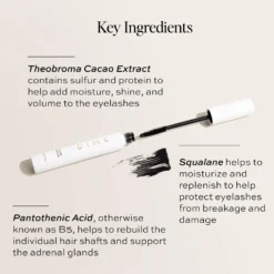 Volume Mascara 10 Volume Mascara -Clinique || Lancome || L'Oreal Sales Shop 2603226 alt05