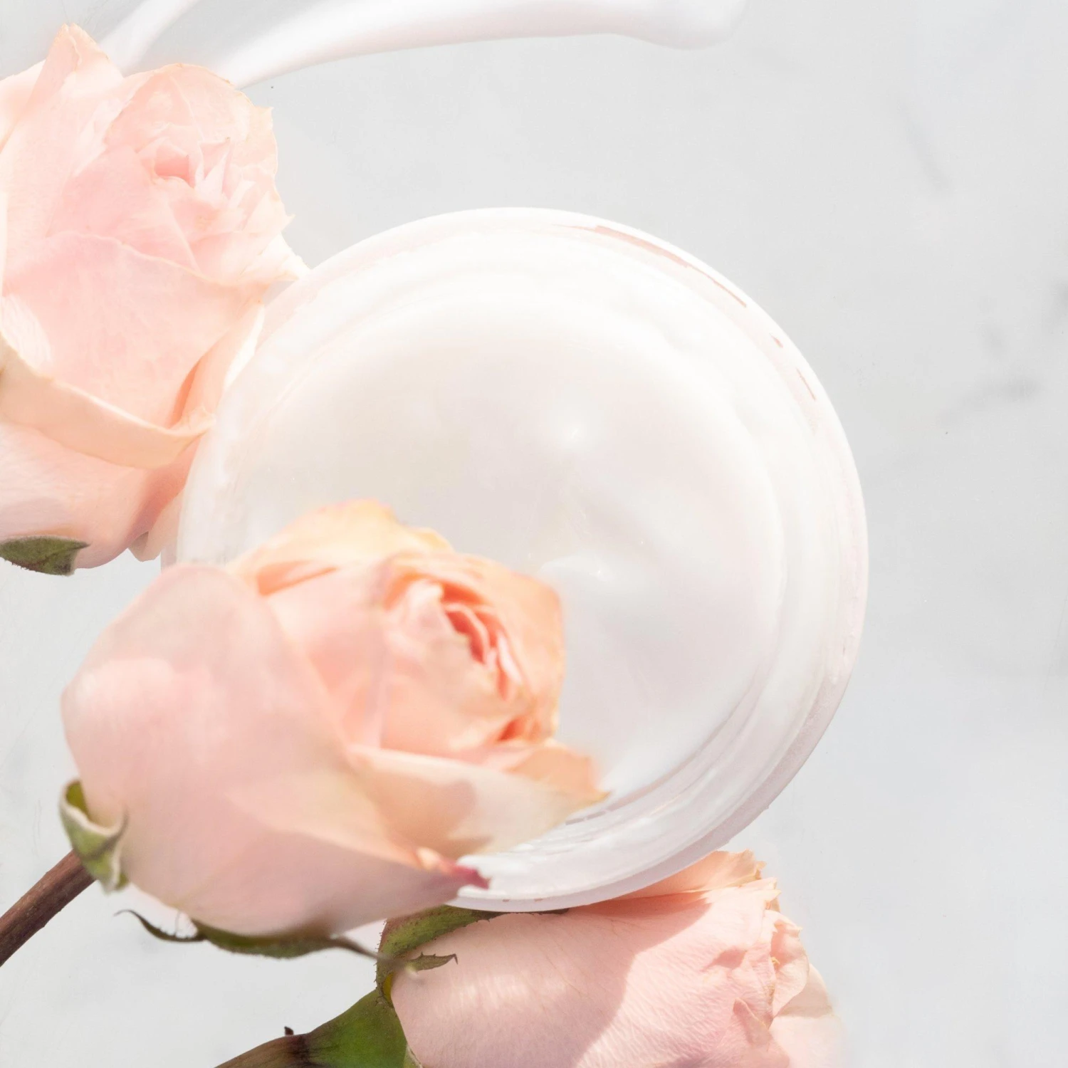 Rose Renewal Tri-Peptide And Ceramide Moisturizer 4 Rose Renewal Tri-Peptide And Ceramide Moisturizer - Image 4