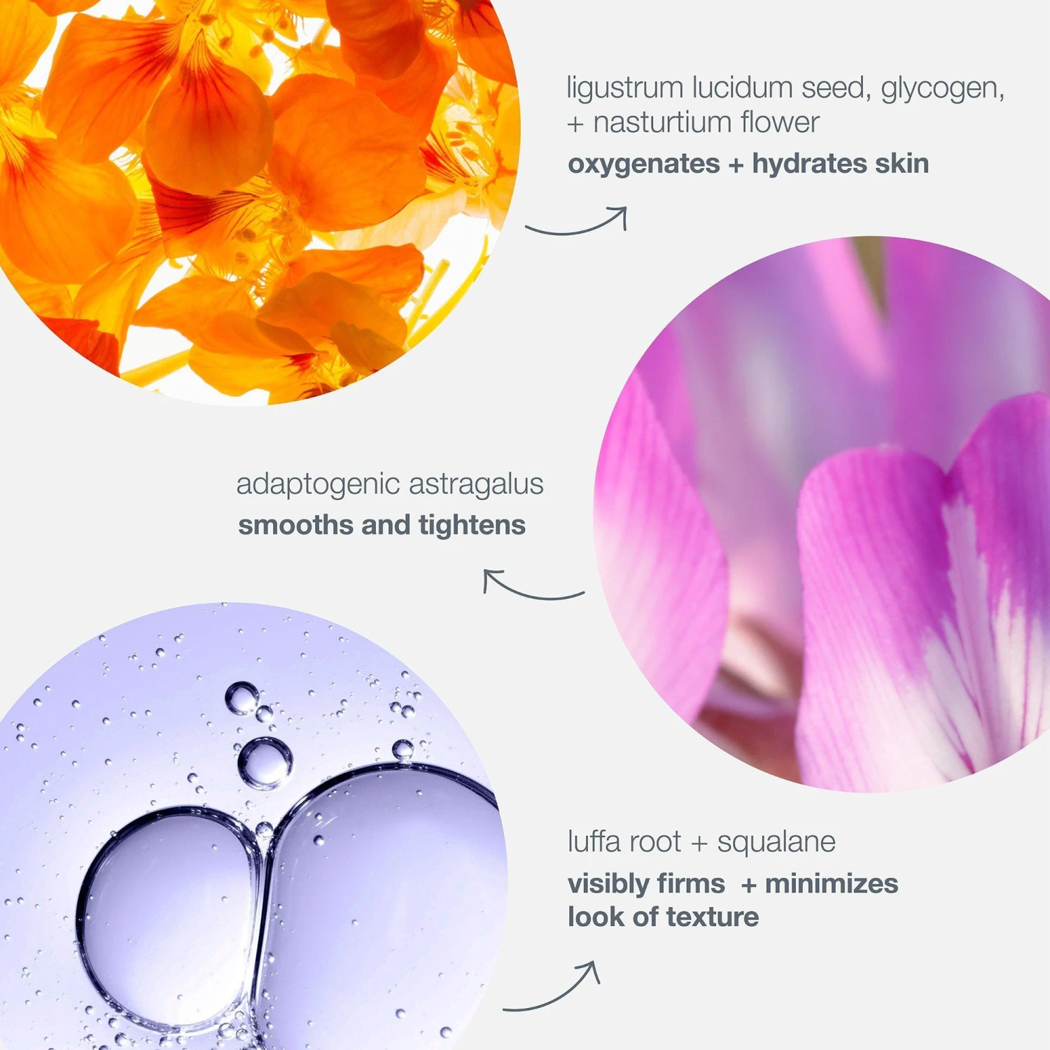 Dermalogica Phyto-Nature Oxygen Cream 2 Dermalogica Phyto-Nature Oxygen Cream - Image 2