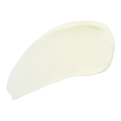 Perricone MD High Potency Retinol Recovery Overnight Moisturizer