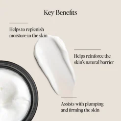 Dewy Day Cream -Clinique || Lancome || L'Oreal Sales Shop 2612541 alt06