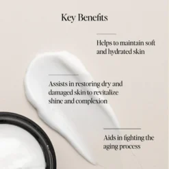 Restorative Night Cream -Clinique || Lancome || L'Oreal Sales Shop 2612542 alt06