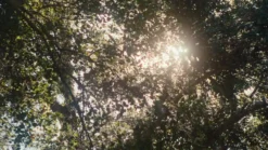 Tea Tree Hemp Restoring Conditioner & Body Lotion 14 Tea Tree Hemp Restoring Conditioner & Body Lotion -Clinique || Lancome || L'Oreal Sales Shop 5f116917 7a8f 4534 8fd0 1777e56a08d7