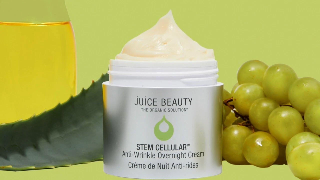 STEM CELLULAR Anti-Wrinkle Ceramide Overnight Cream 2 STEM CELLULAR Anti-Wrinkle Ceramide Overnight Cream - Image 2